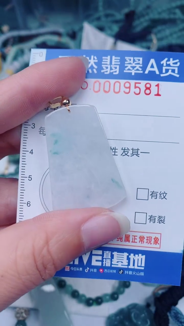 颈饰未镶嵌翡翠00009581