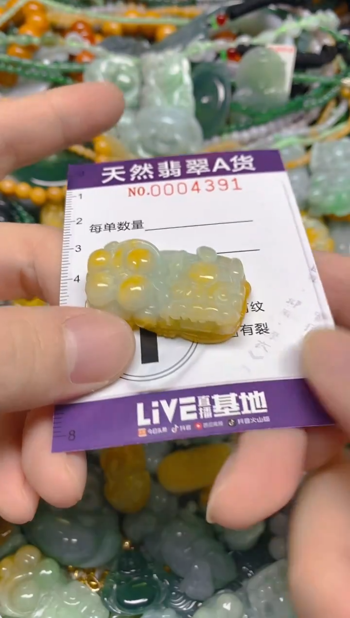 颈饰未镶嵌翡翠0004391