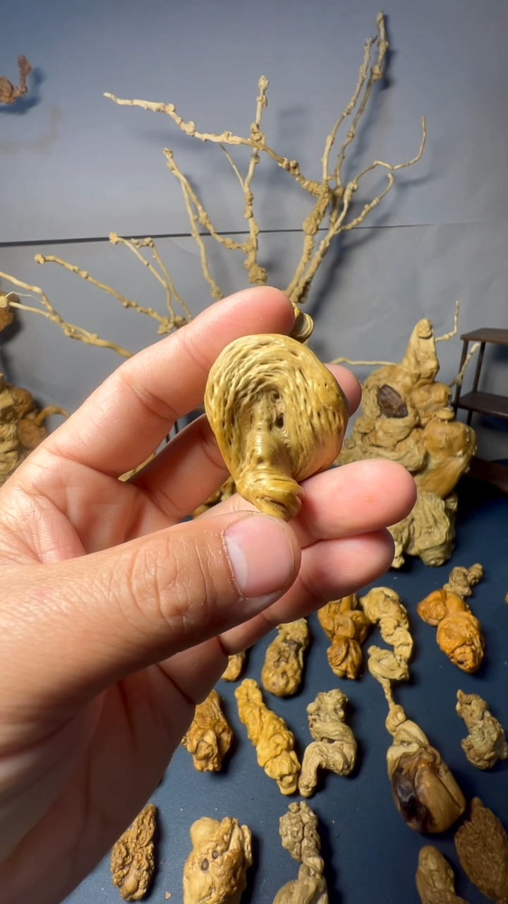 香榧木新*元esfresre