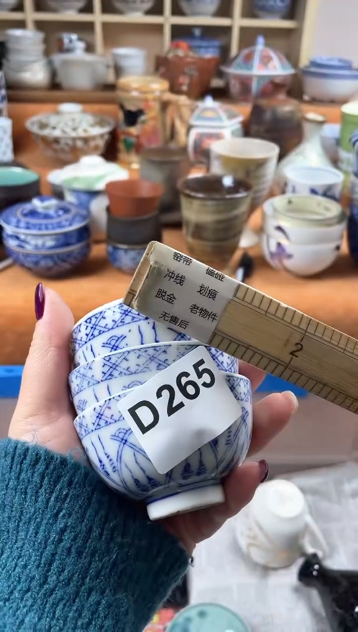 【闪购商品】D265             