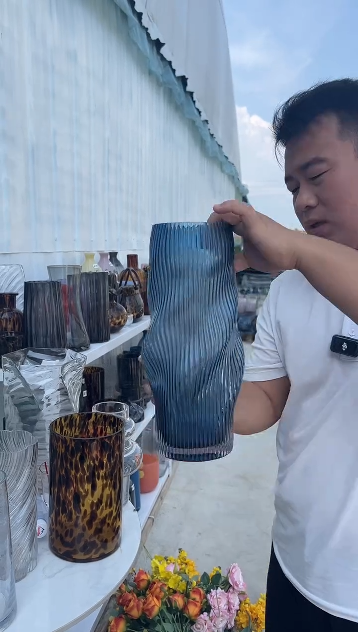  玻璃花瓶用于客厅桌面插花装饰大30cm
