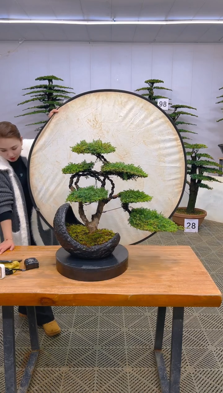 无花朵一物一拍一物一拍