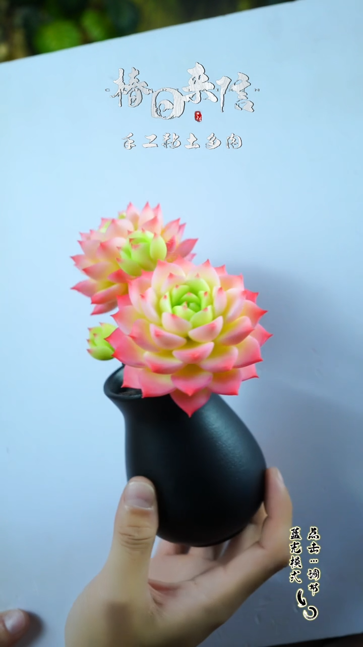 004.。。。。。。。。。。。