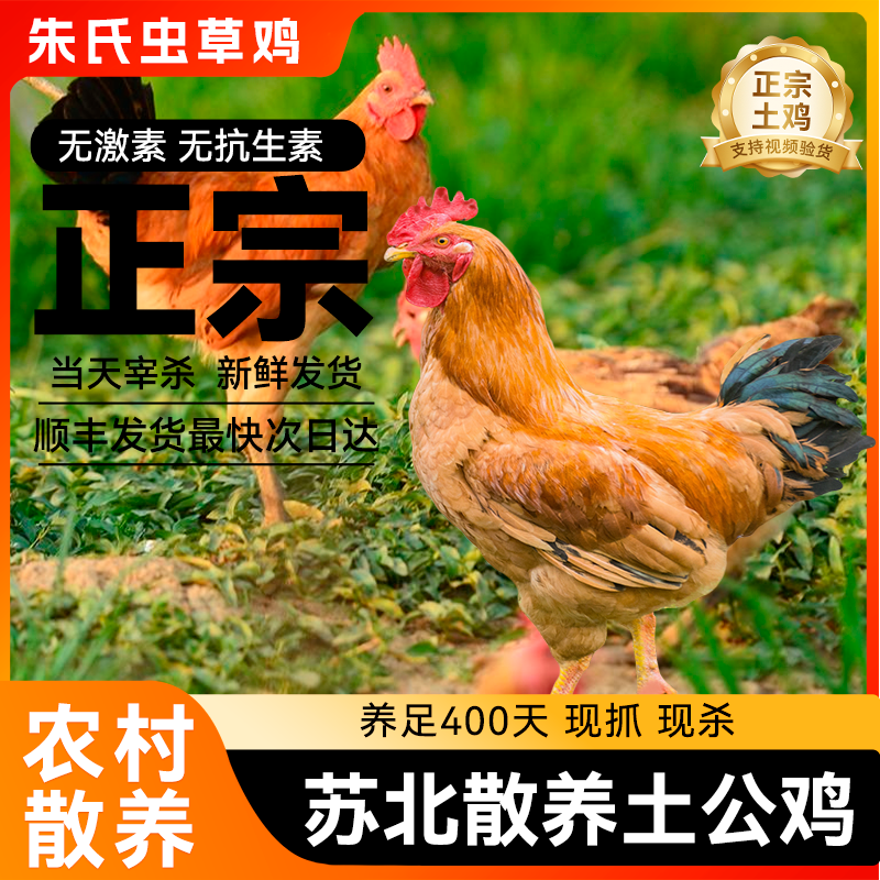 {朱四}土公鸡  2年的  净重3-3.5斤