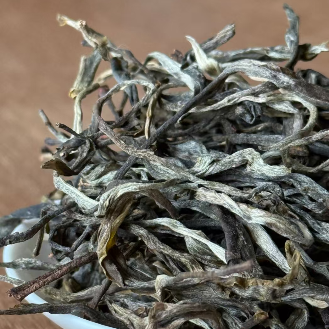725号-2023年旧笼古树（春) 普洱生茶散茶