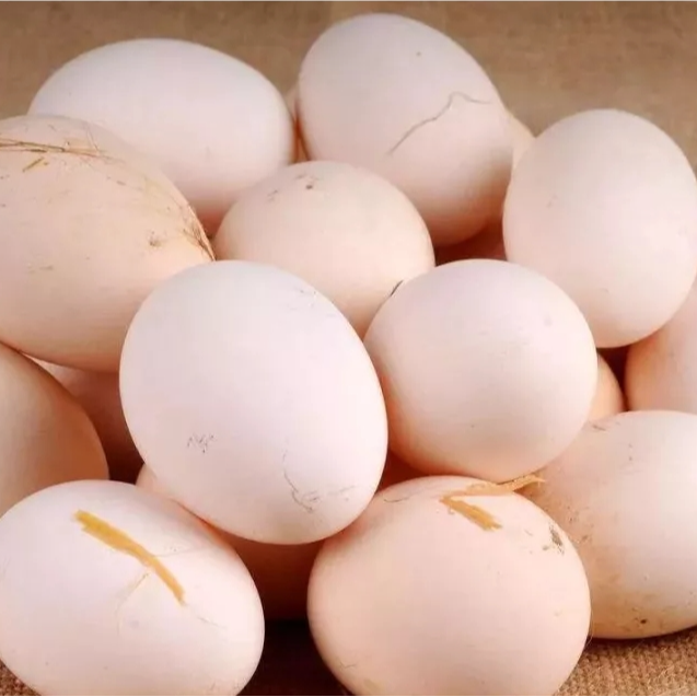 淮安周集村 散养鸡农家土鸡蛋