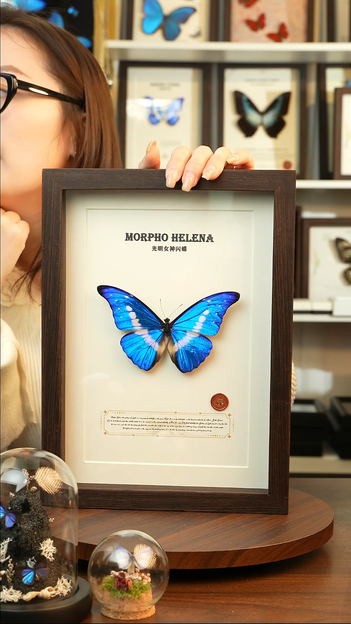 不****e光明女神闪蝶-英文(A4鸡翅木框)定制