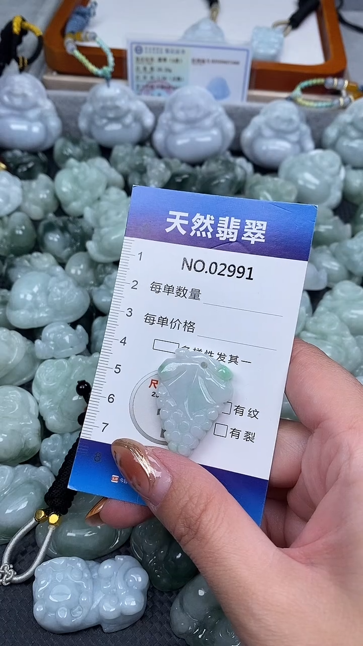 颈饰未镶嵌翡翠纯天然A货翡翠2991