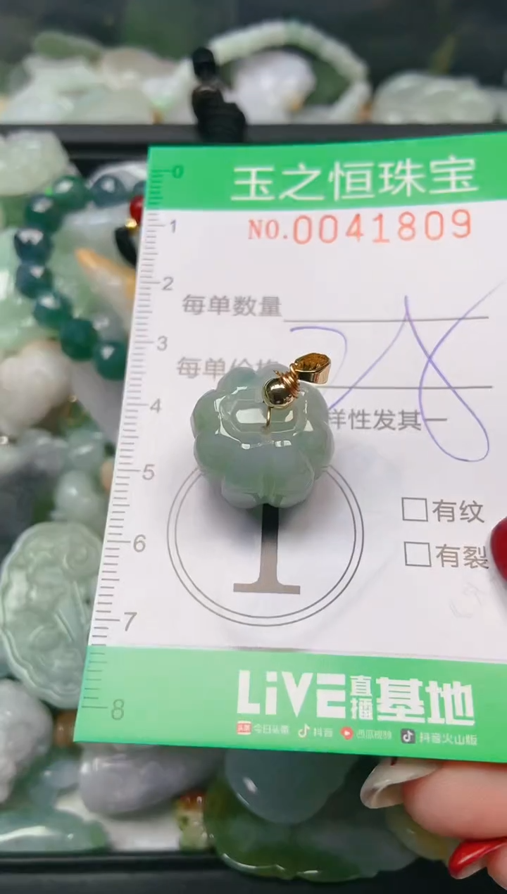 【闪购商品】翡翠颈饰未镶嵌闪购0041809