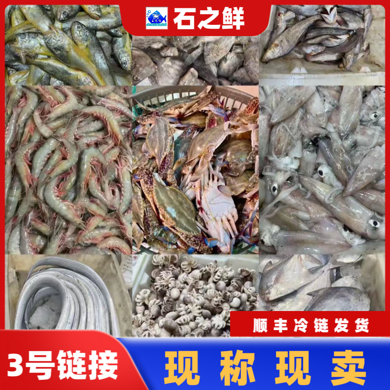  【海鲜礼盒】石浦海鲜现称改价500g起-3