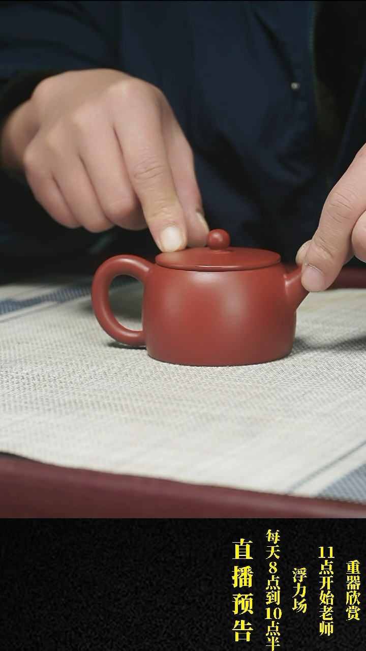 【闪购商品】紫砂茶壶 紫砂 茶壶19