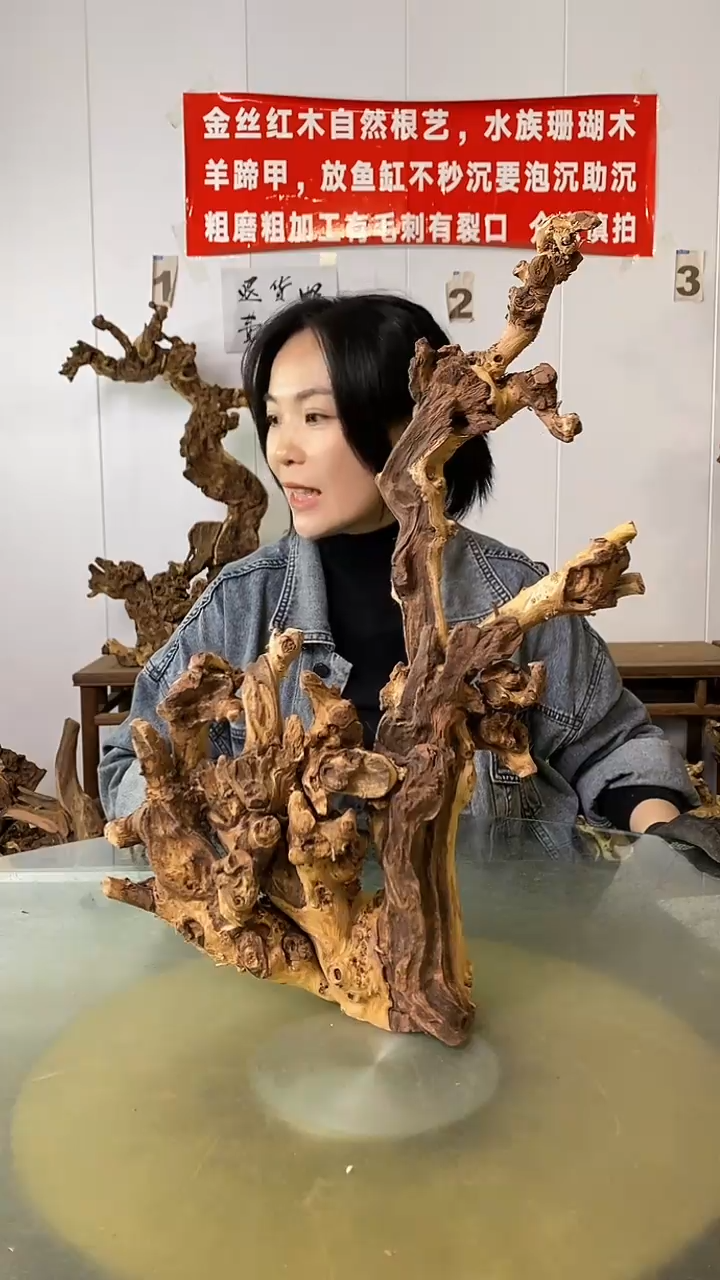 香榧木如*金丝红木 羊蹄甲