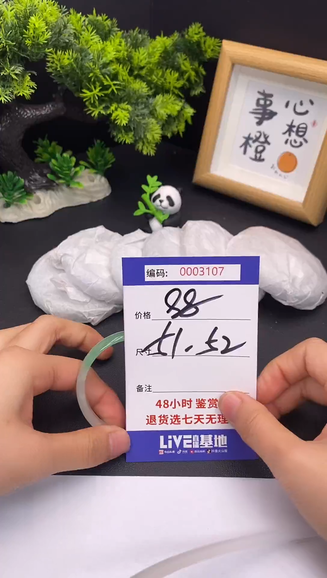 未镶嵌手镯翡翠0003107