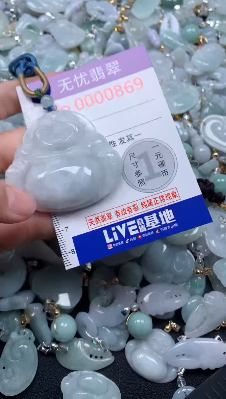 颈饰未镶嵌翡翠869