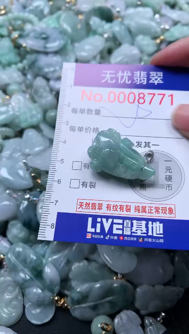 颈饰未镶嵌翡翠8771