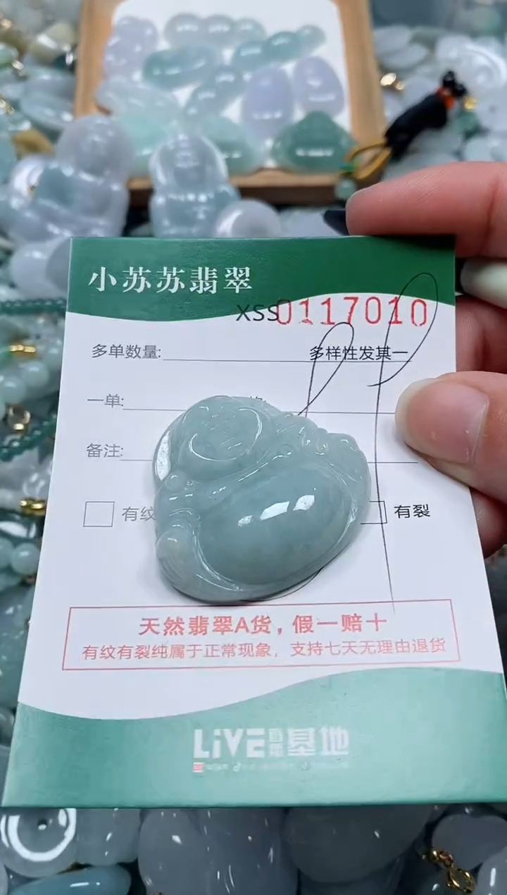 【闪购商品】翡翠颈饰未镶嵌闪购商品0117010