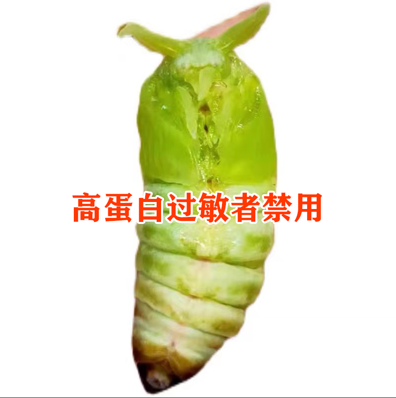 2024新东北神仙蚕蛹冻嫩蛹薄皮夏季顺丰空运