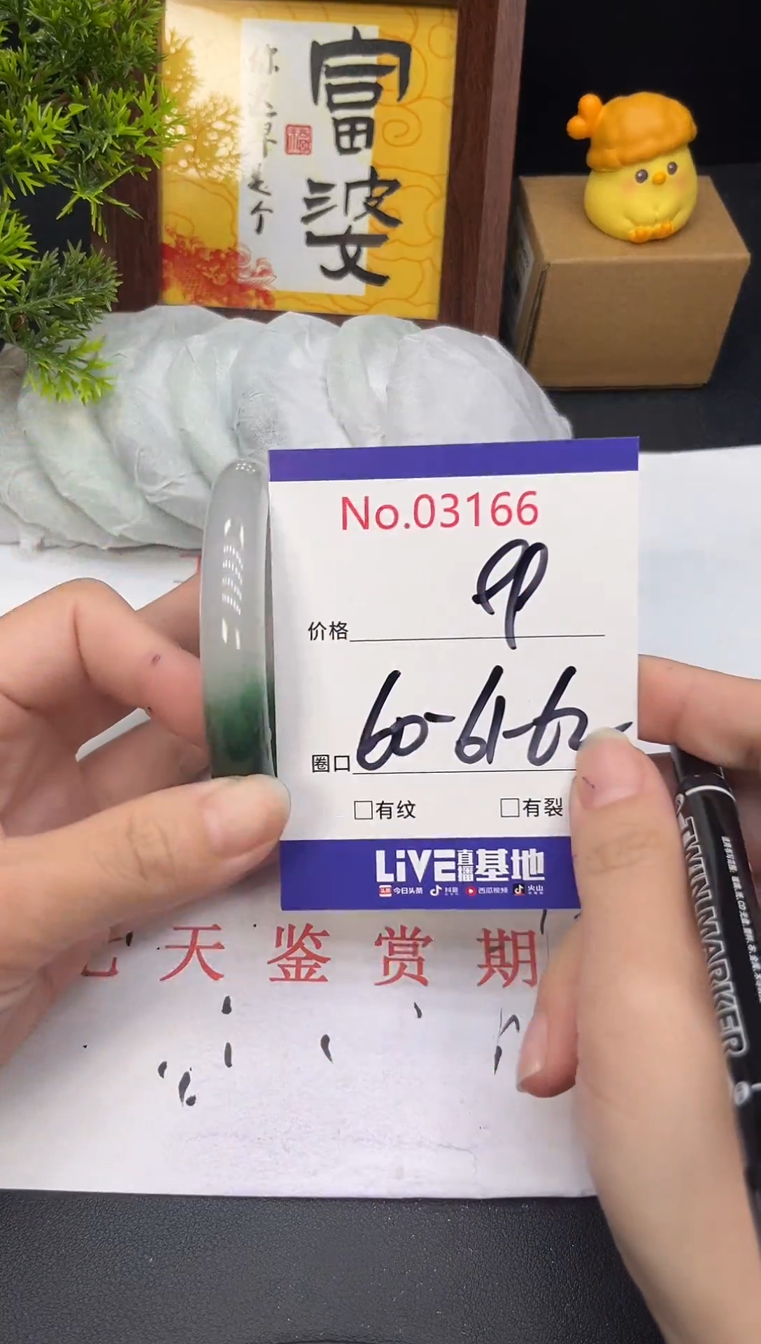 未镶嵌手镯翡翠3166