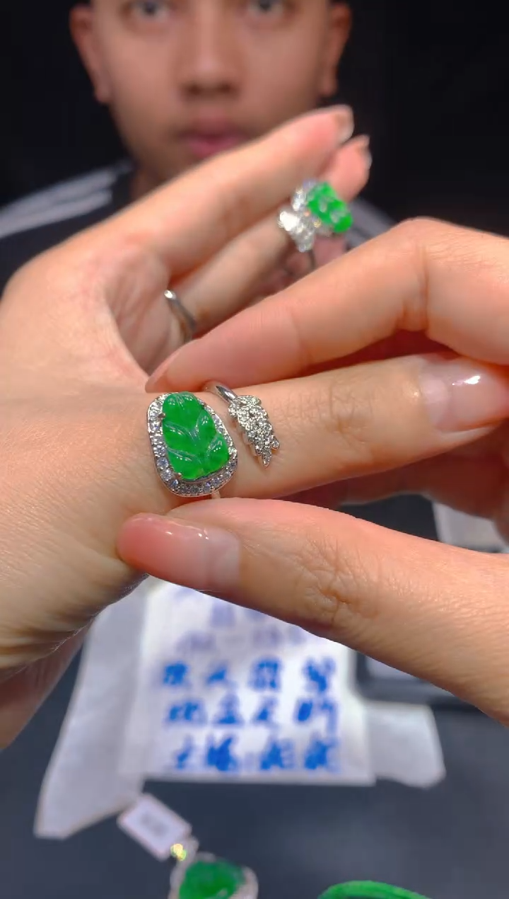 【闪购商品】定制翡翠未镶嵌83多样性发货（发其一）