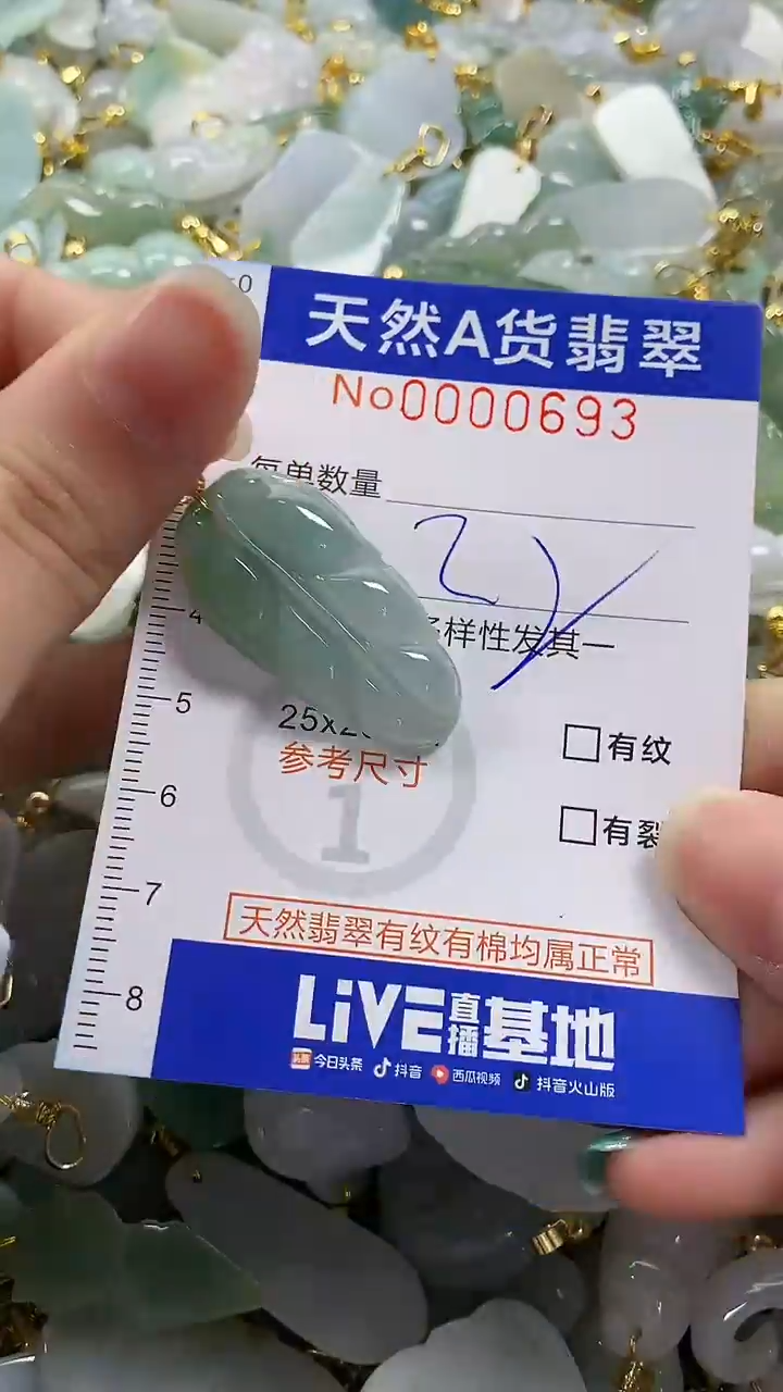 颈饰未镶嵌翡翠纯天然a货翡翠