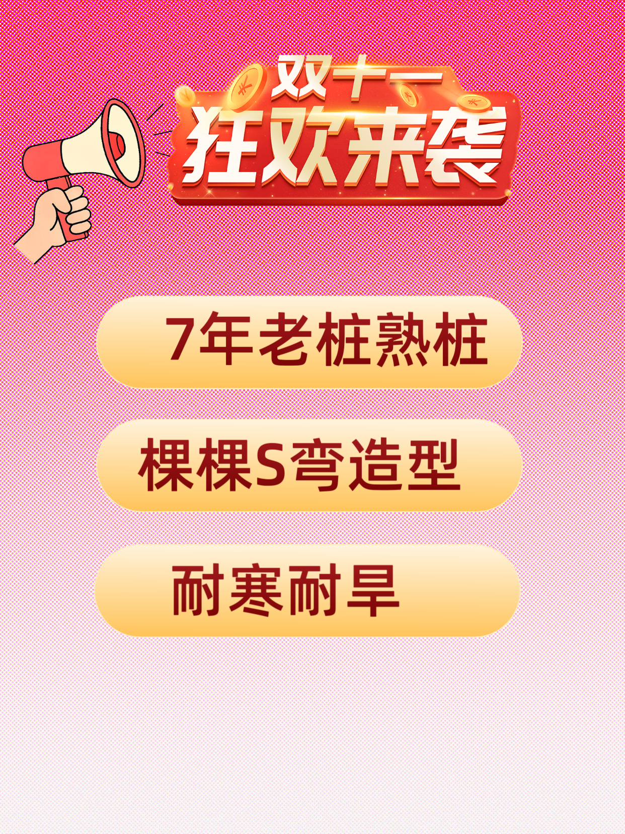 7年老桩熟桩可造型黑松