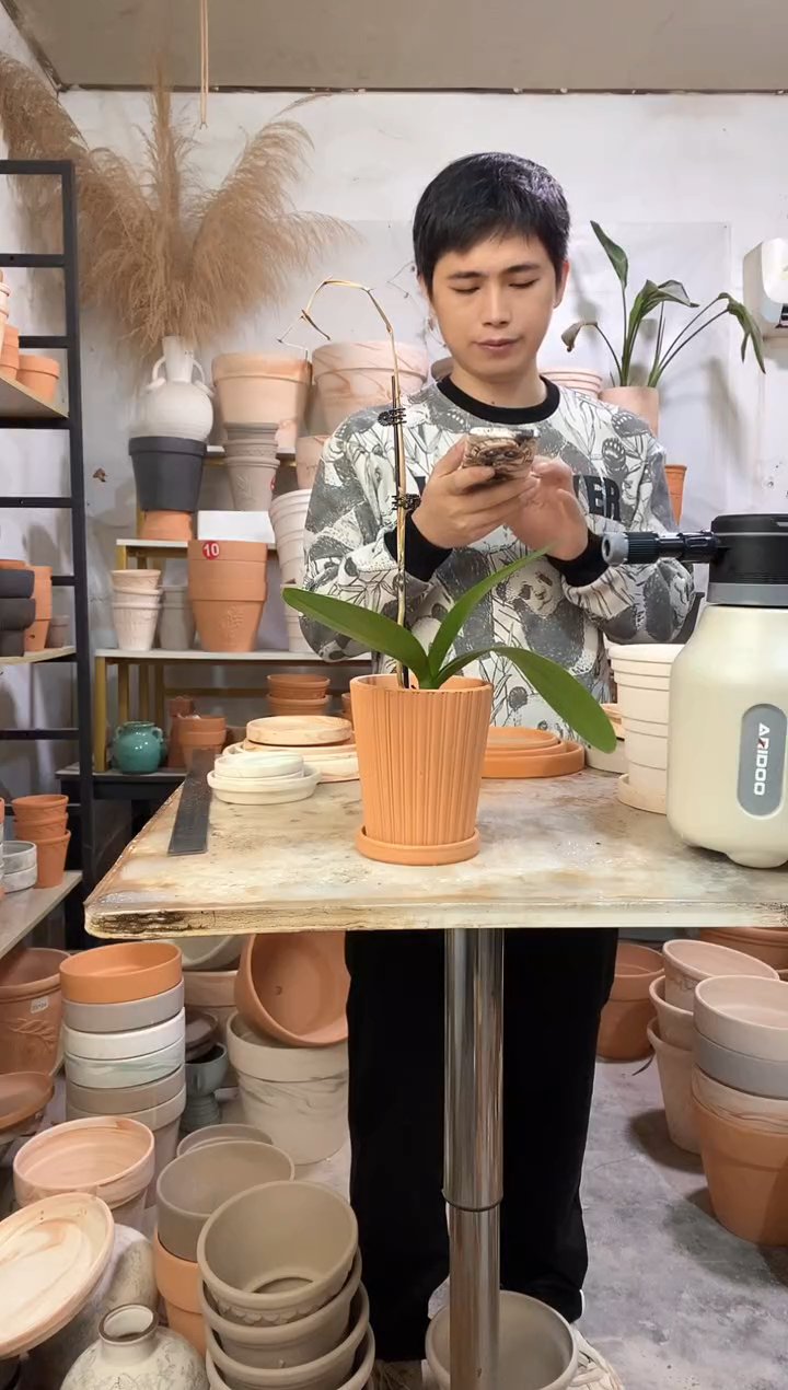 11*13红陶竖纹 1盆1托