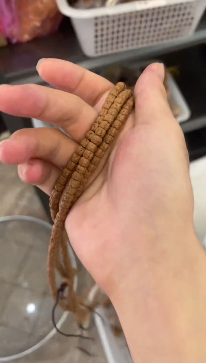 【闪购商品】金刚菩提吊坠极限圆龙切佛手【拒绝差评】