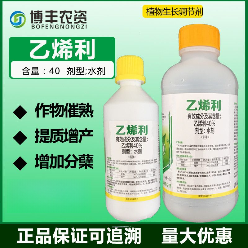 中棉小康40%乙烯利催熟催红剂西红柿棉花香蕉核桃催熟调节剂农药