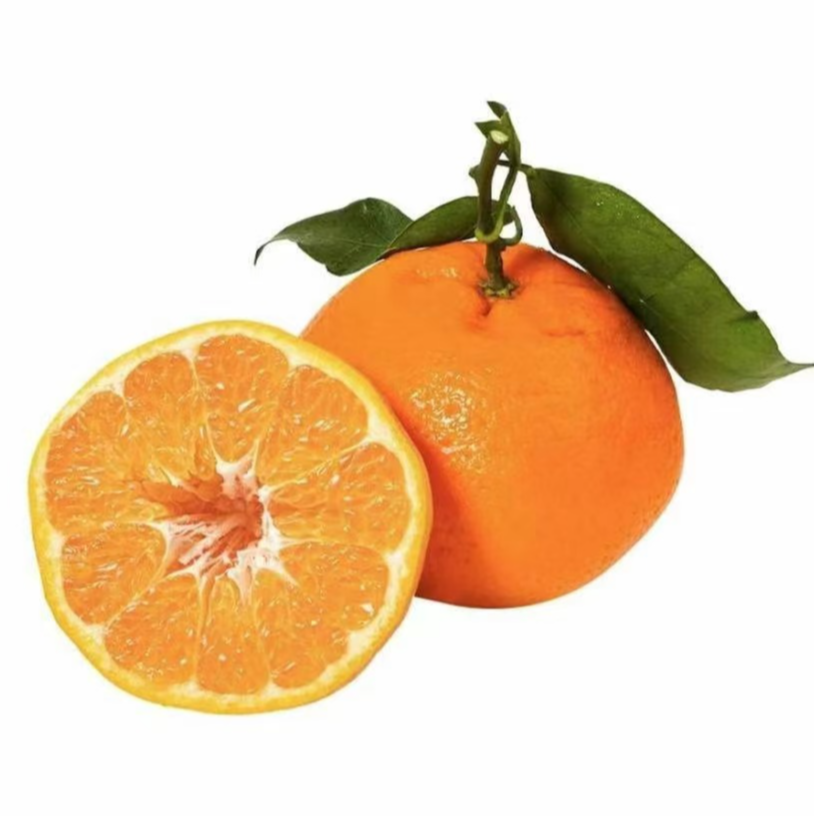 四川春见 耙耙柑约5斤