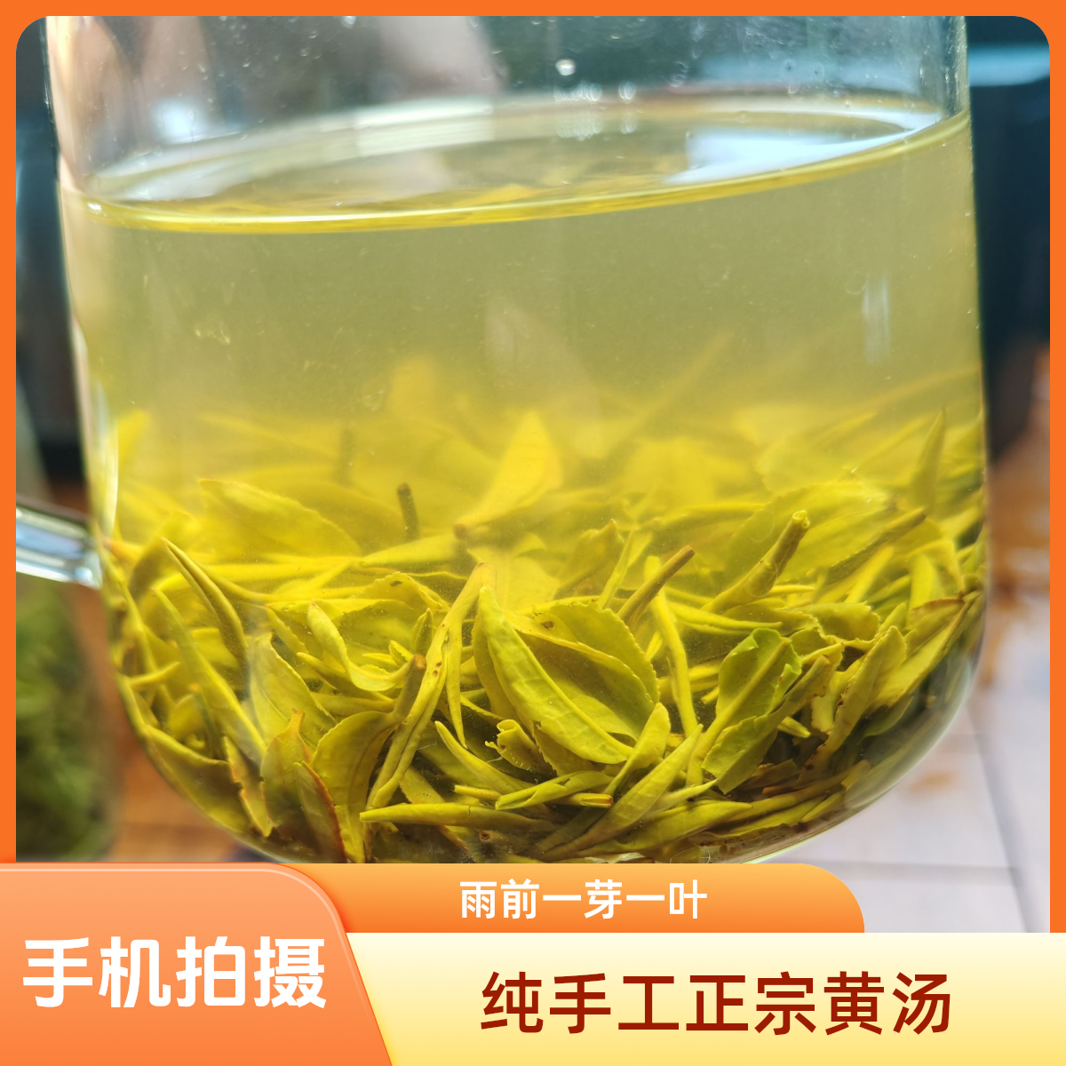 纯手工高山雨前早期一芽一叶花香正宗信阳毛尖新茶