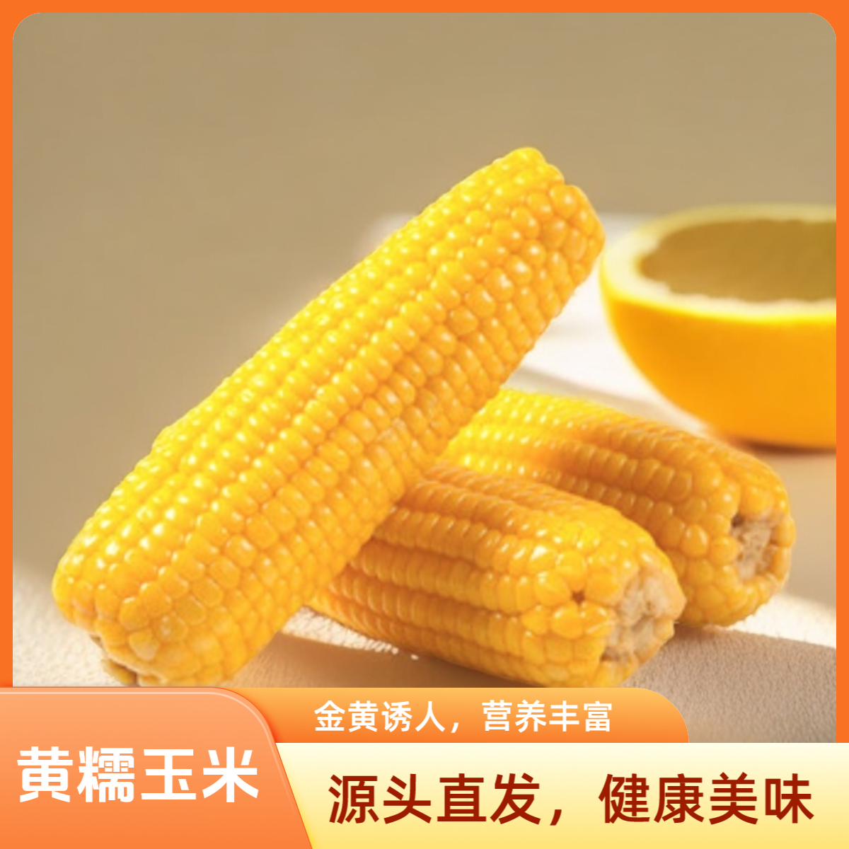 【10根可试吃4根】黄糯2025头茬正宗头茬玉米口感软糯香甜5斤-6斤