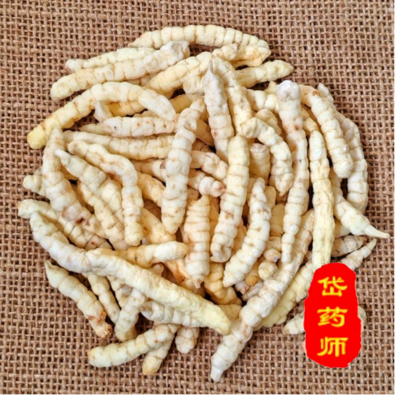 【集团补贴】地蚕正品干货白虫草袋装非党参100克