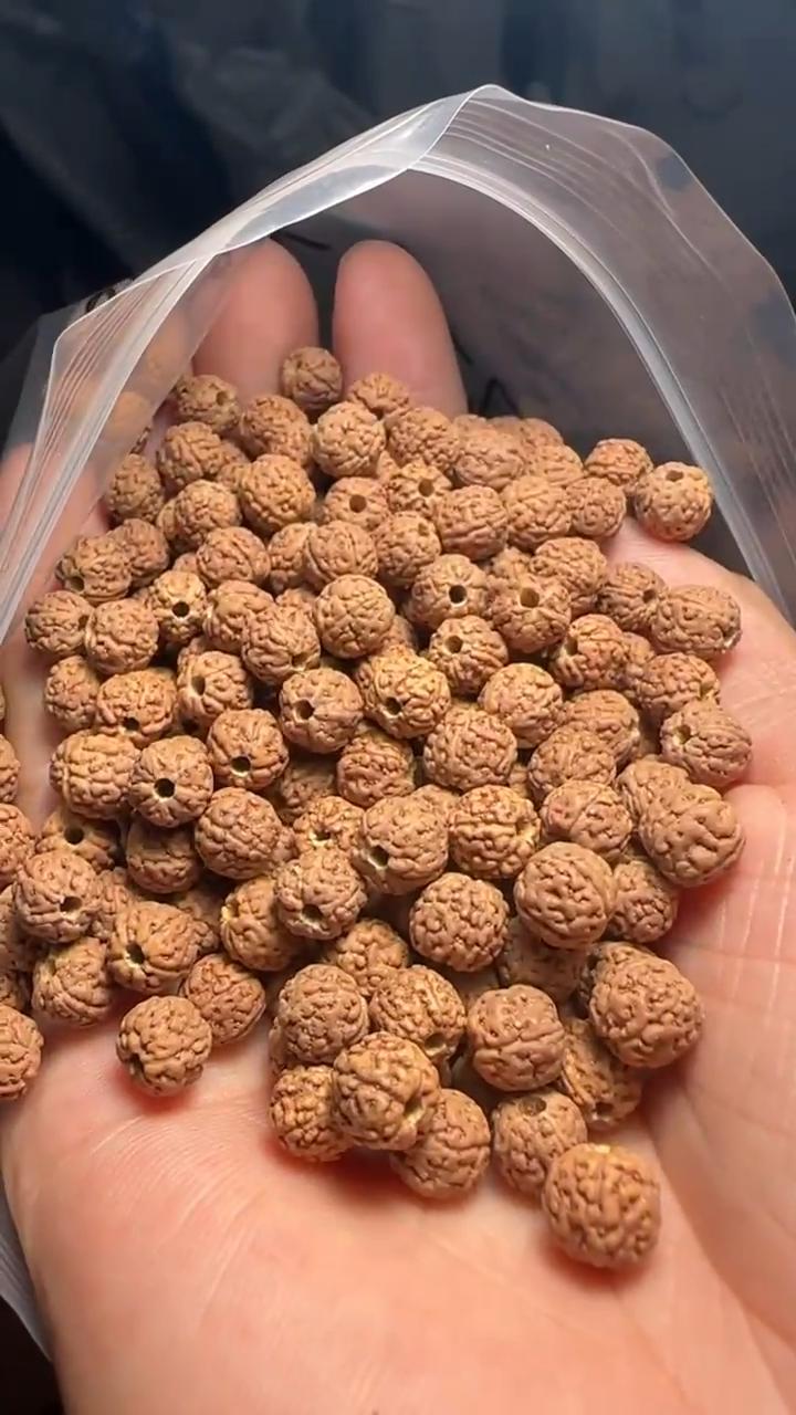 金刚菩提手串非全品原桩一代龙散籽7-8mm一份一百颗