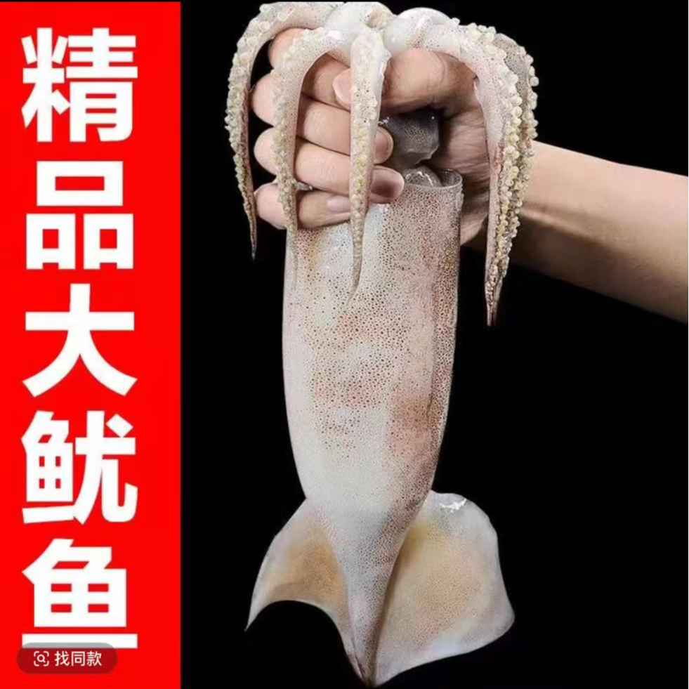 海捕新鲜大鱿鱼5斤鲜活船冻肉质鲜嫩厚实精选 顺丰发货