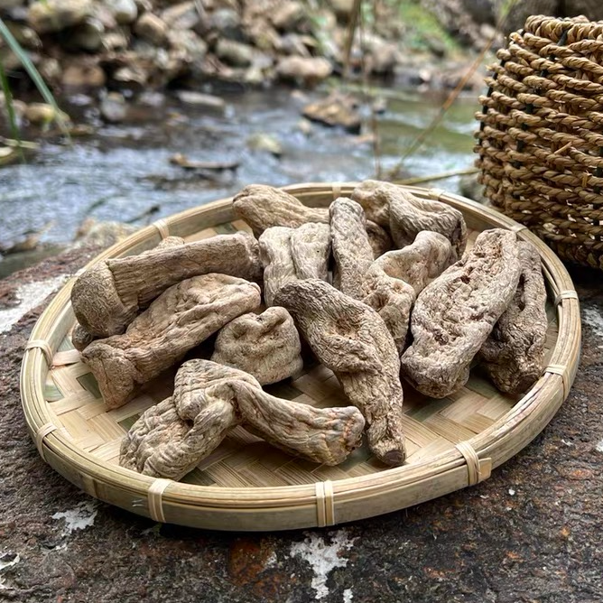 现收 云南高山天麻可搭配西洋参枸杞