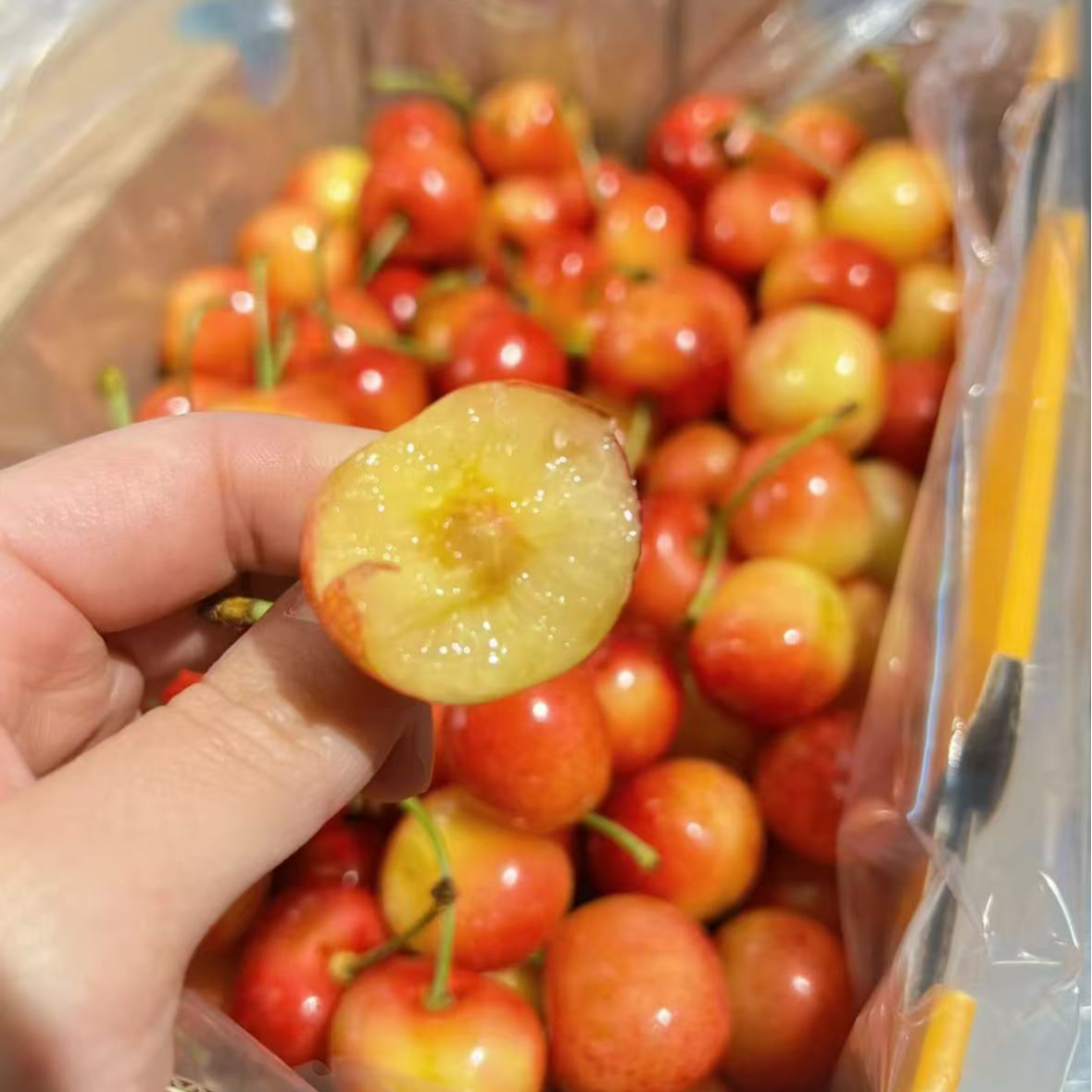 AA智利空运雷尼尔 黄金车厘2J-4J/礼盒1-4.4斤装 顺丰/内附果径卡