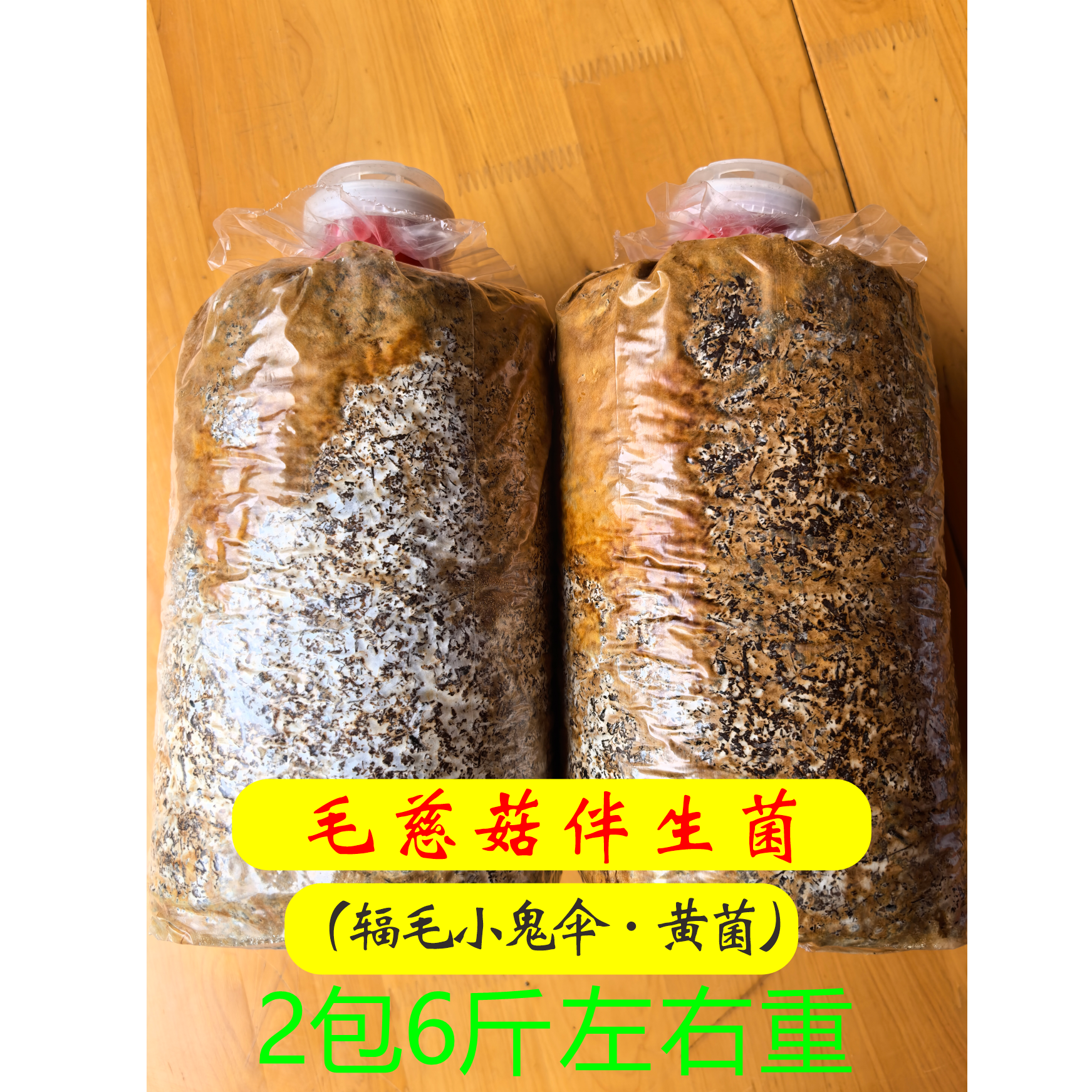 毛慈菇伴生菌（非食用菌）（2包重6斤黄菌）