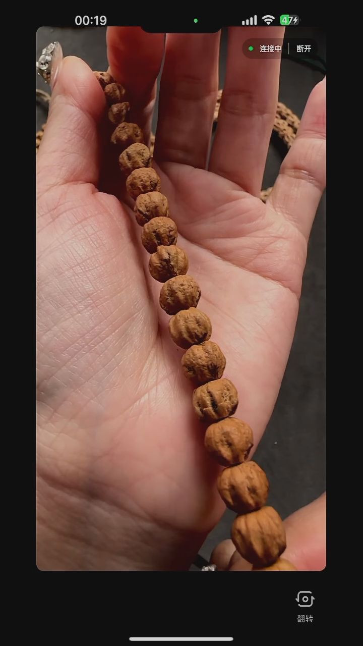 【闪购商品】柏香籽/百香籽吊坠TG0361