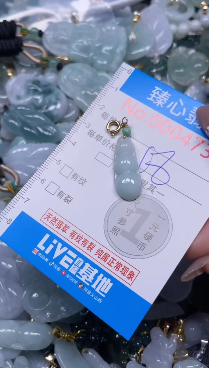 颈饰未镶嵌翡翠4732