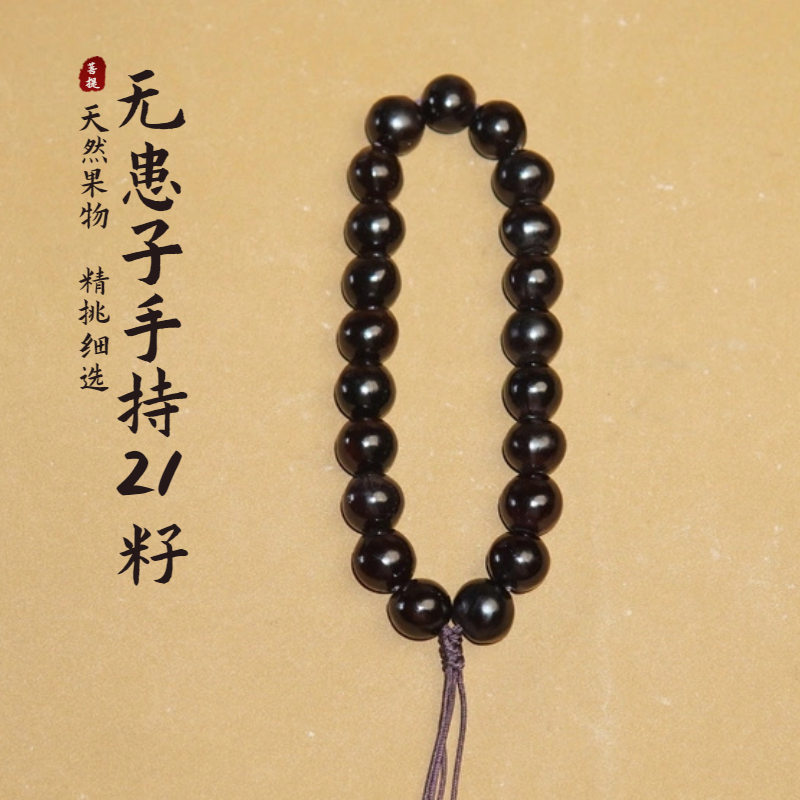 野生无患子21颗手持菩提子木患子鬼见愁文玩佛珠念珠