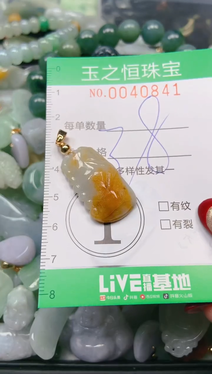 【闪购商品】翡翠颈饰未镶嵌闪购0040841