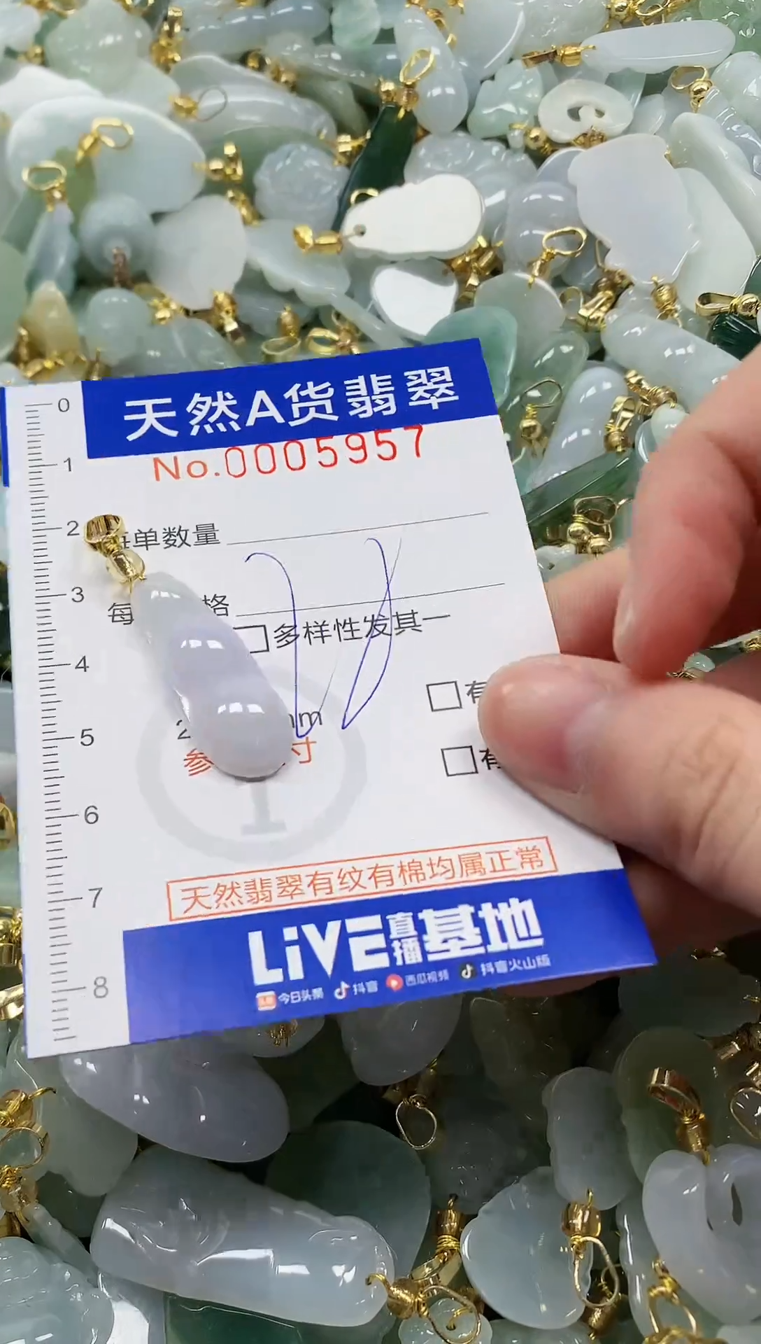 颈饰未镶嵌翡翠纯天然a货翡翠