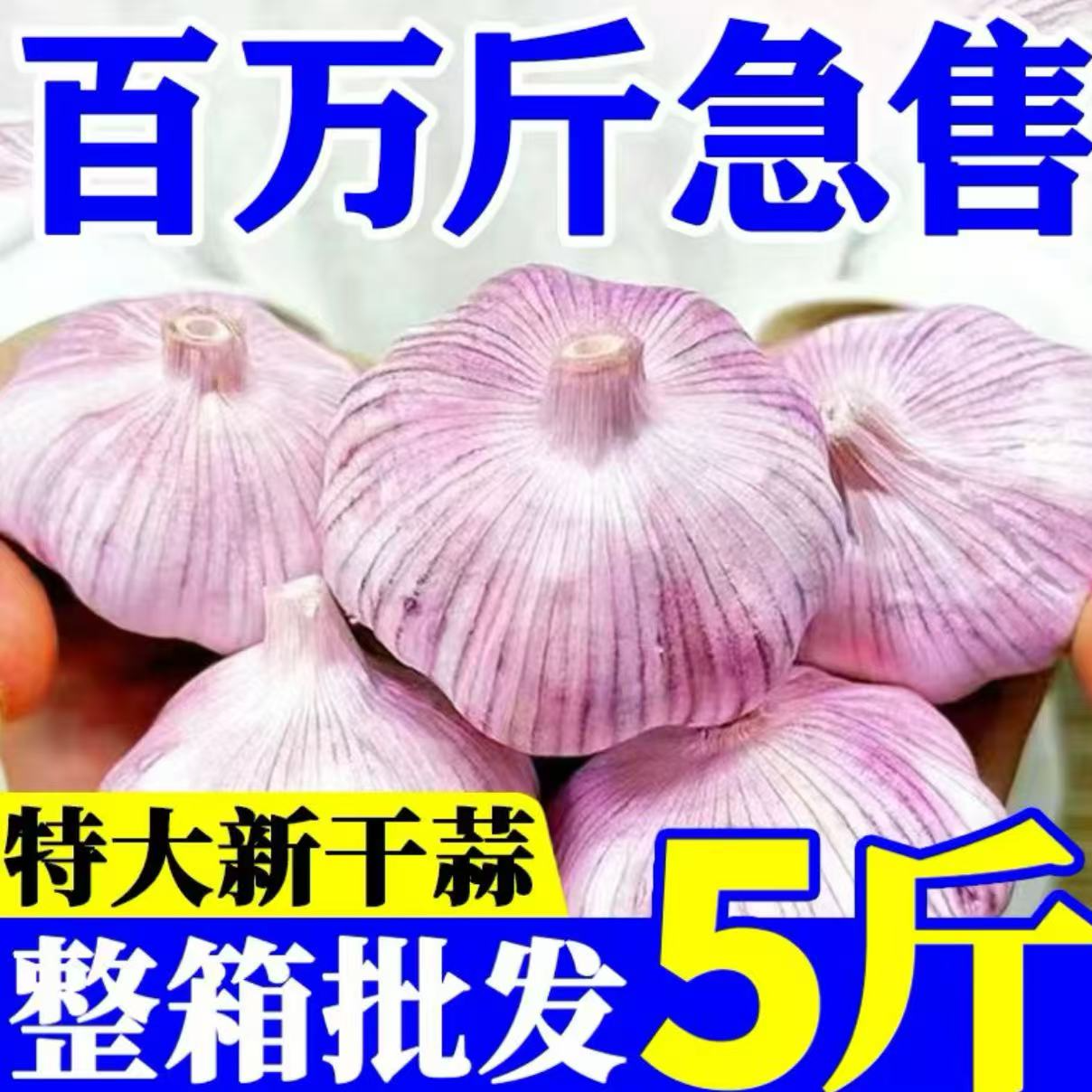 【新干蒜特惠】25年紫白皮新干蒜农家自种自晒多瓣干蒜辛辣头大蒜