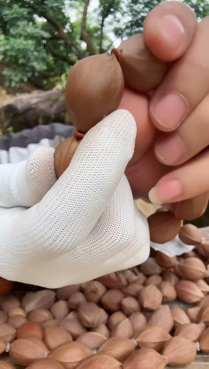 【闪购商品】橄榄核吊坠2128精 梅林铁核原生态素串1500