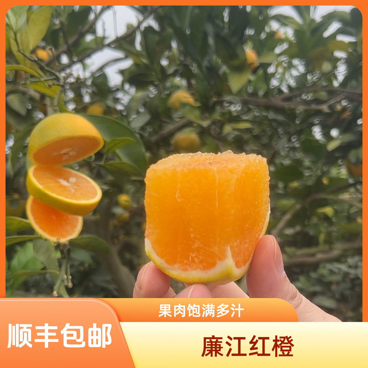 廉江红橙新鲜现摘直发当季水果清甜多汁皮薄肉厚橙子