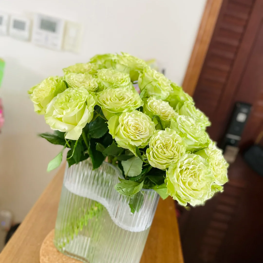 【上官婉儿玫瑰10支】全场鲜花任意两单送配草、三单送花瓶