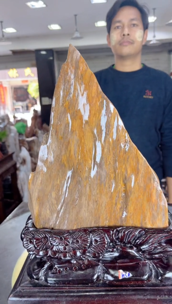 【闪购商品】硅化玉珠宝奇石未镶嵌缅甸天然树化玉