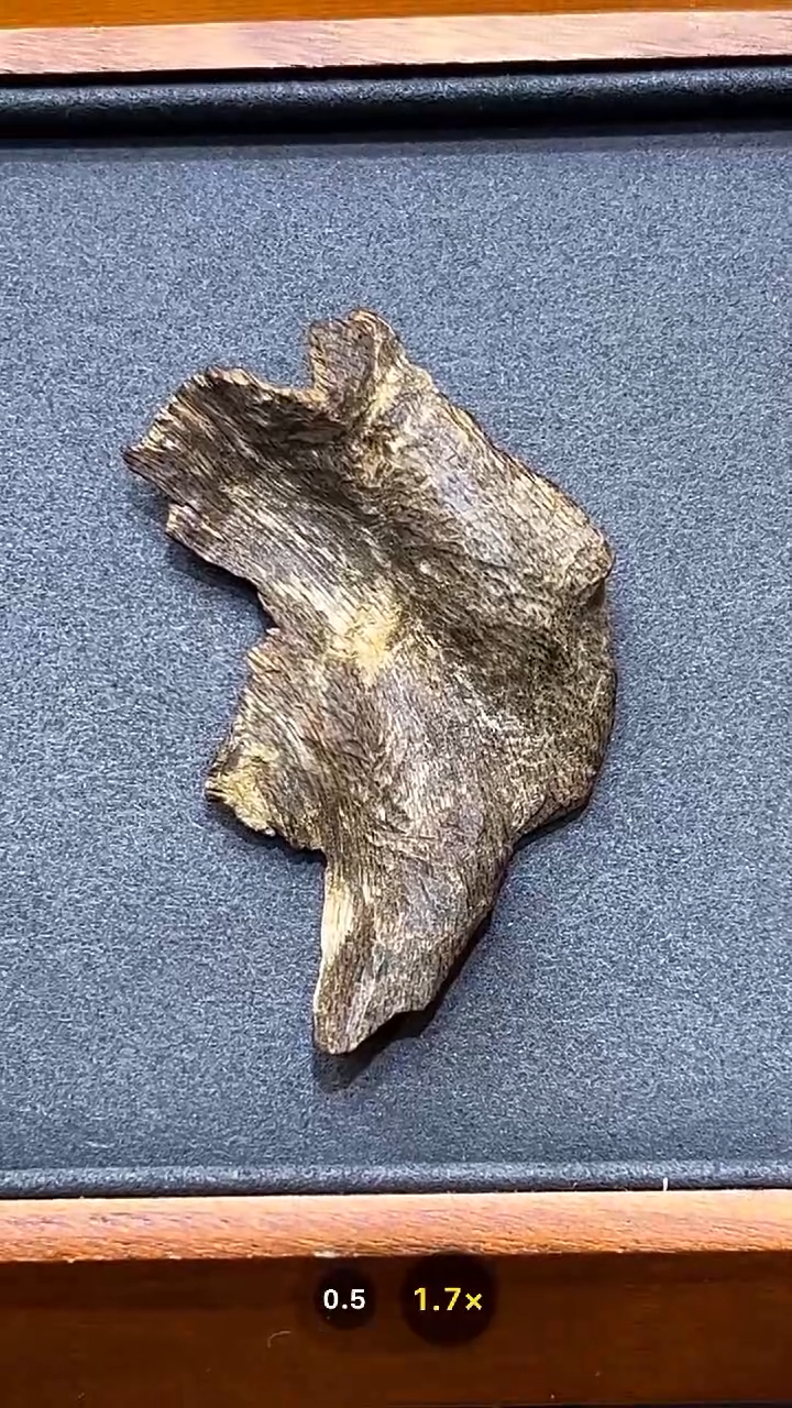 海南琼脂大山香糖结沉香熏香料2.4克