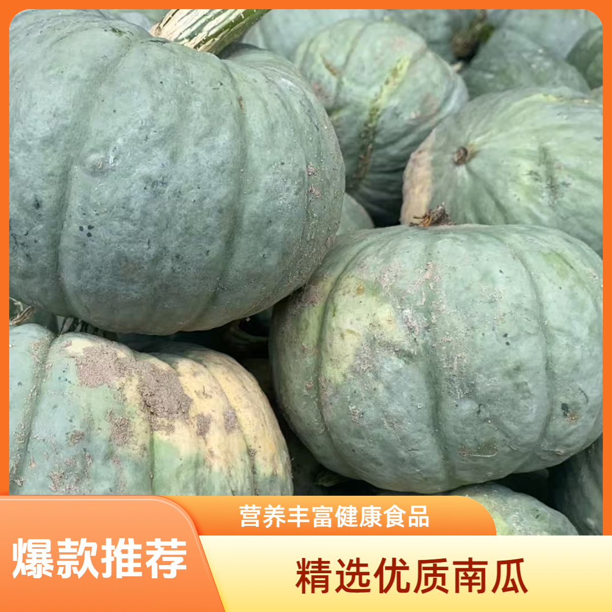 新疆沙地银贝贝南瓜粉面干香可作宝宝辅食减脂代餐蔬菜