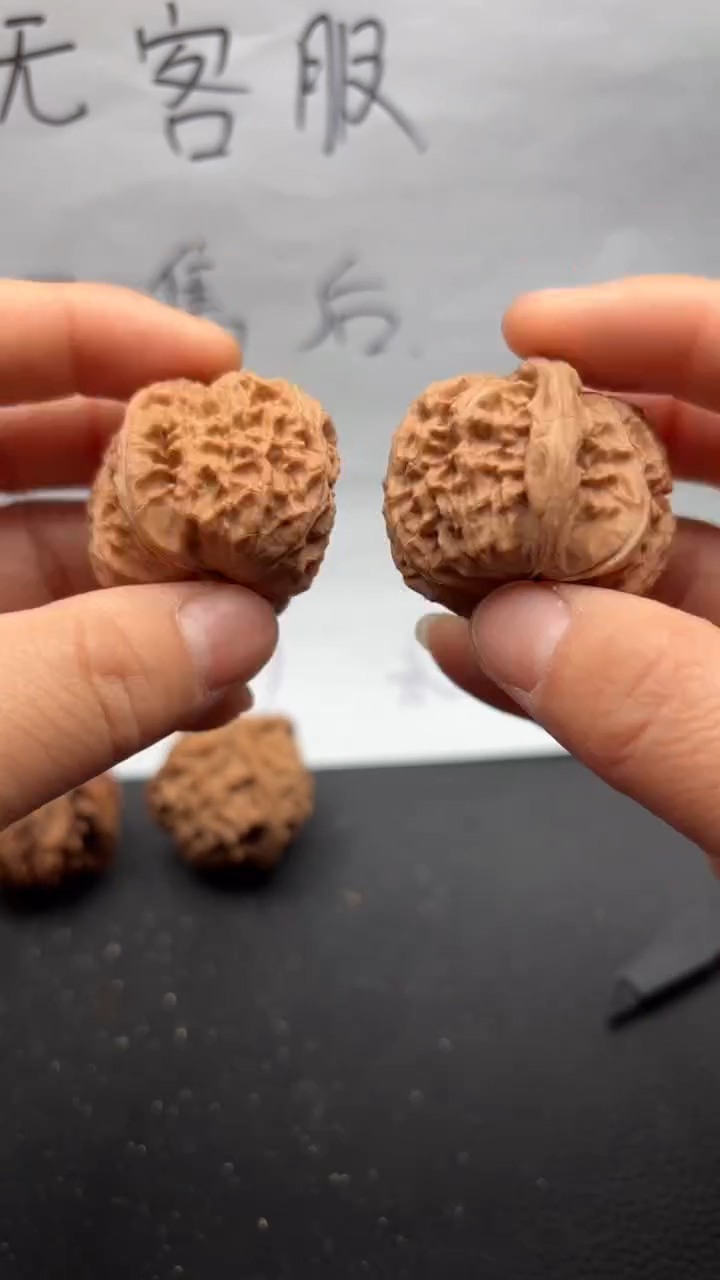 把件文玩核桃545白狮子